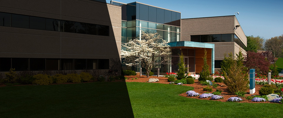 Clifton Springs Landscapers