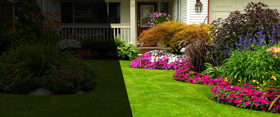 Clifton Springs Landscapers