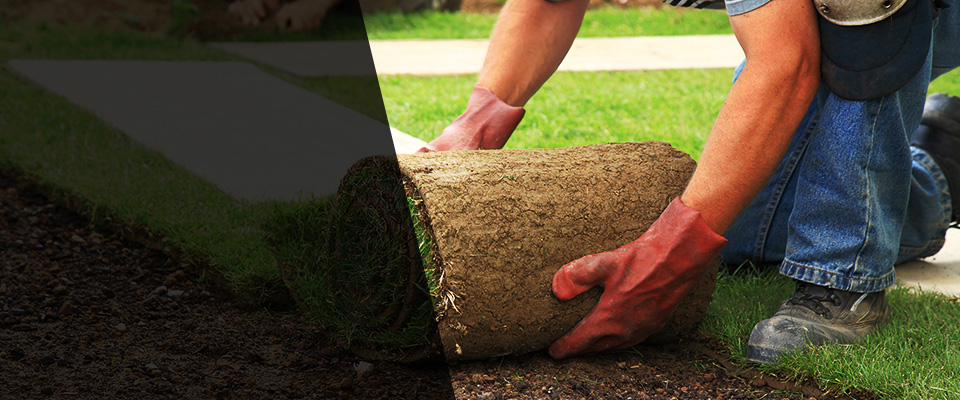 Clifton Springs Landscapers